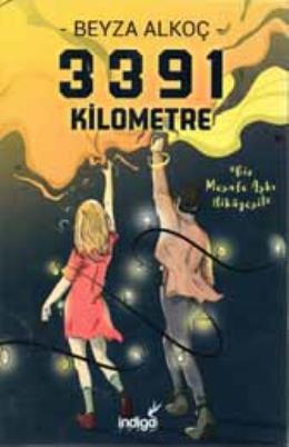3391 Kilometre (Ciltli)
